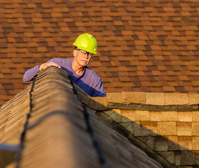View All Roof Inspection Services